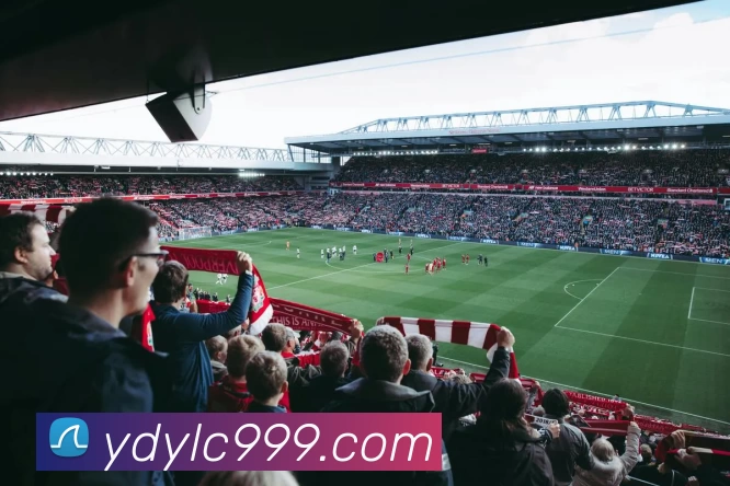 云顶娱乐城官网品牌故事