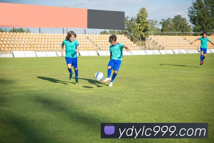 云顶娱乐城官网服务体系